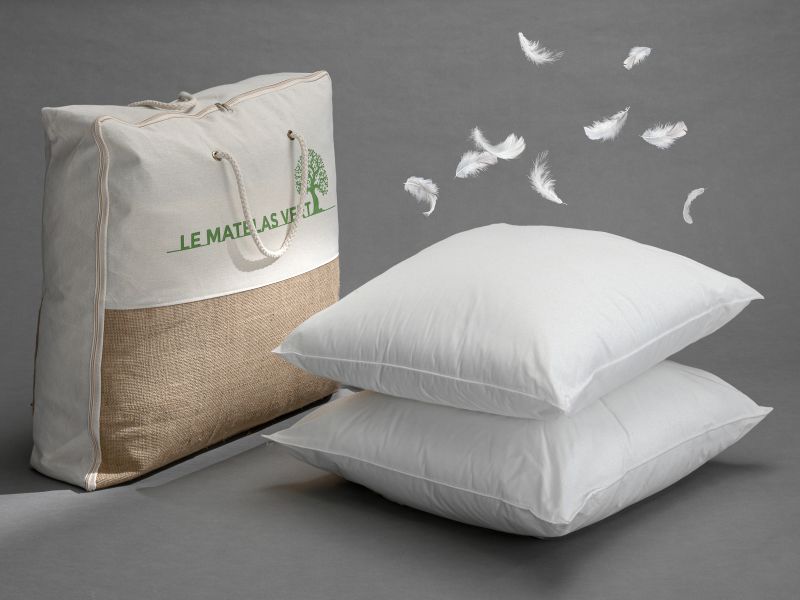 Oreillers 60x60 cm Plumes/Duvet