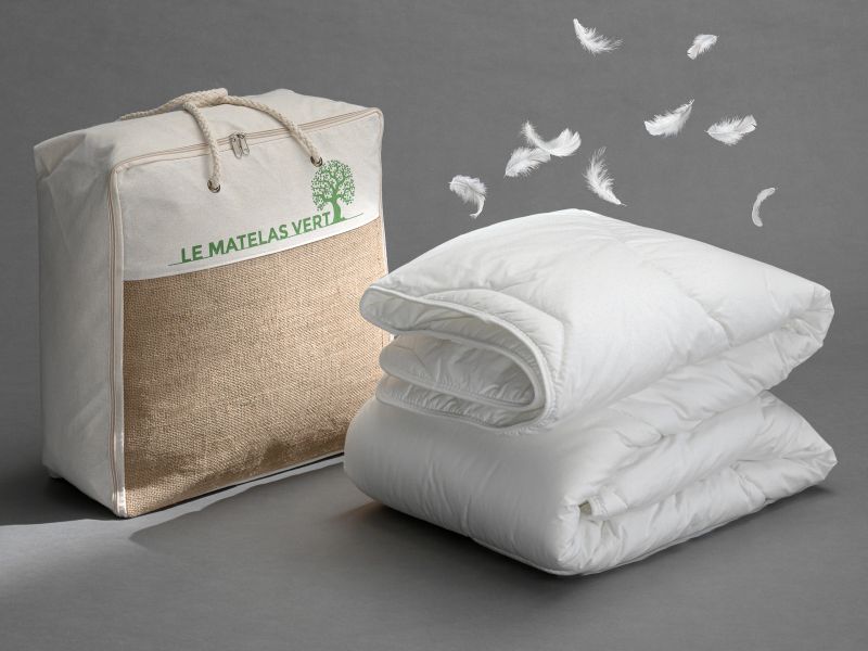 Ce pack couette et oreillers profite d'une superbe remise pour les soldes  d'hiver