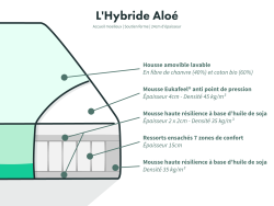 Schéma de l’Hybride Aloe