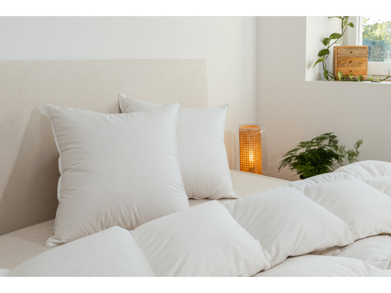 oreiller en satin de coton bio 60x60 90% duvet de canard du sud ouest