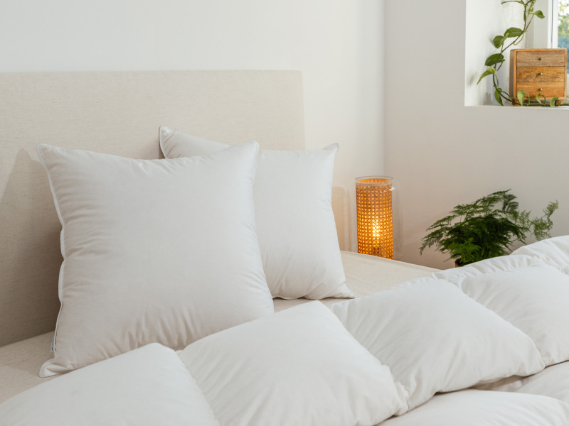 oreiller en satin de coton bio 60x60 90% duvet de canard du sud ouest