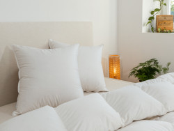 ensemble couette et oreiller 90% duvet de canard du sud ouest